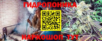 прущие крисы Конаково