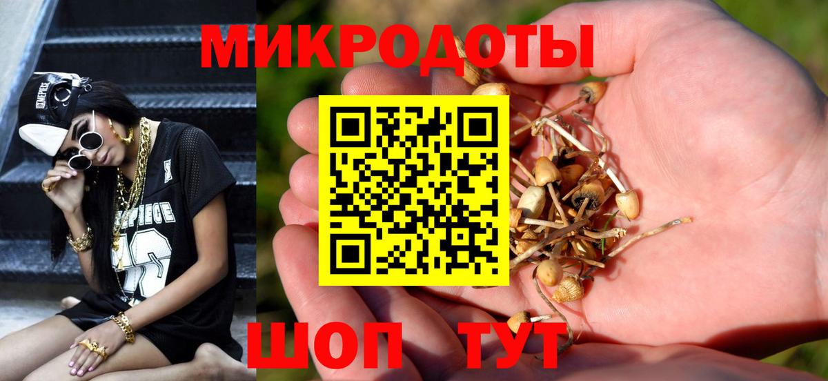 Буйнакск  Псилоцибиновые грибы Psilocybe  Вход с VPN 