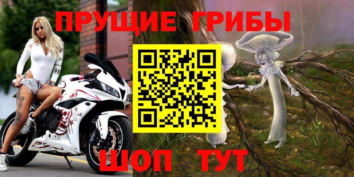 Псилоцибиновые грибы мухоморы Буйнакск